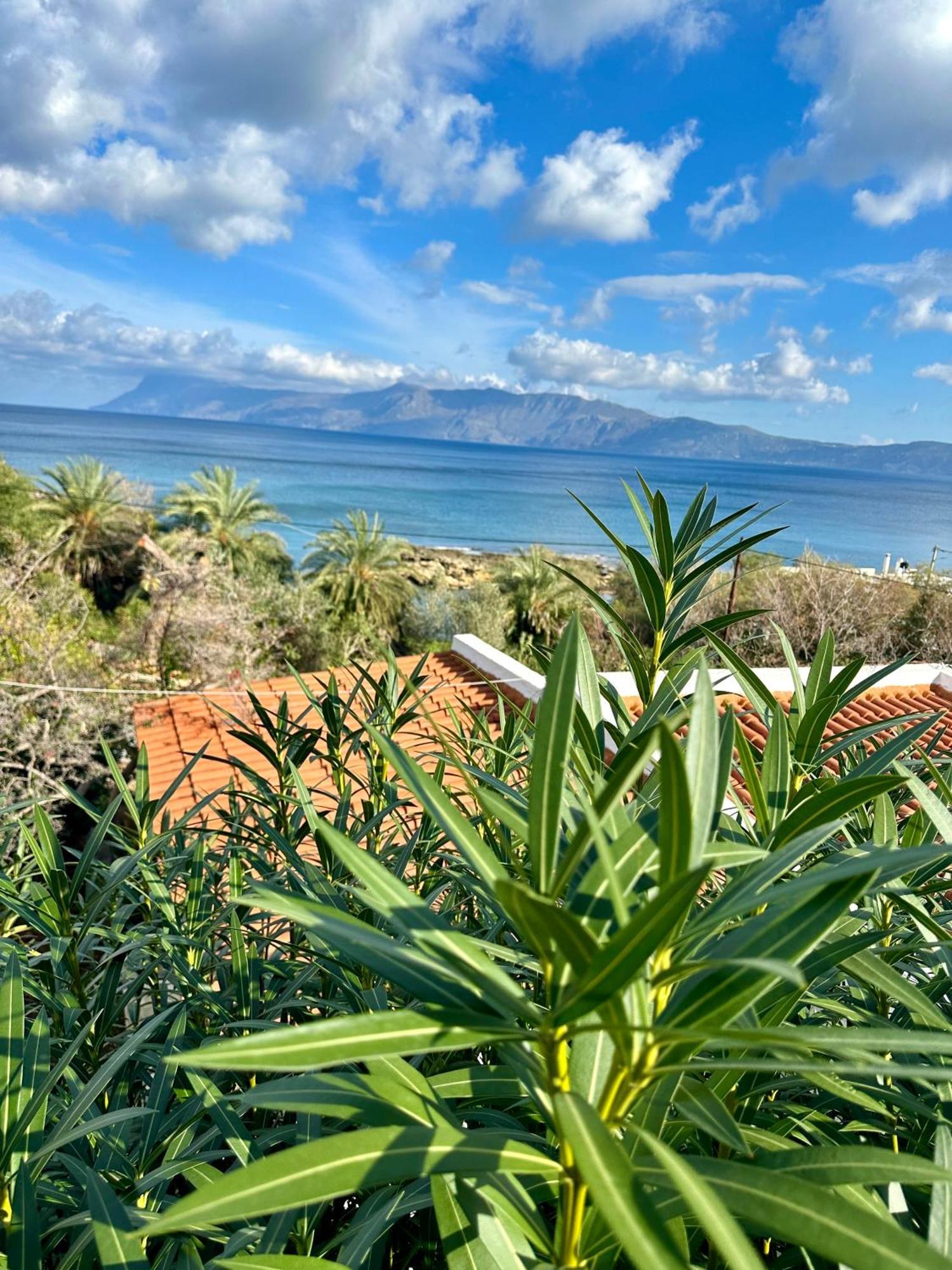 Vista Del Mar *