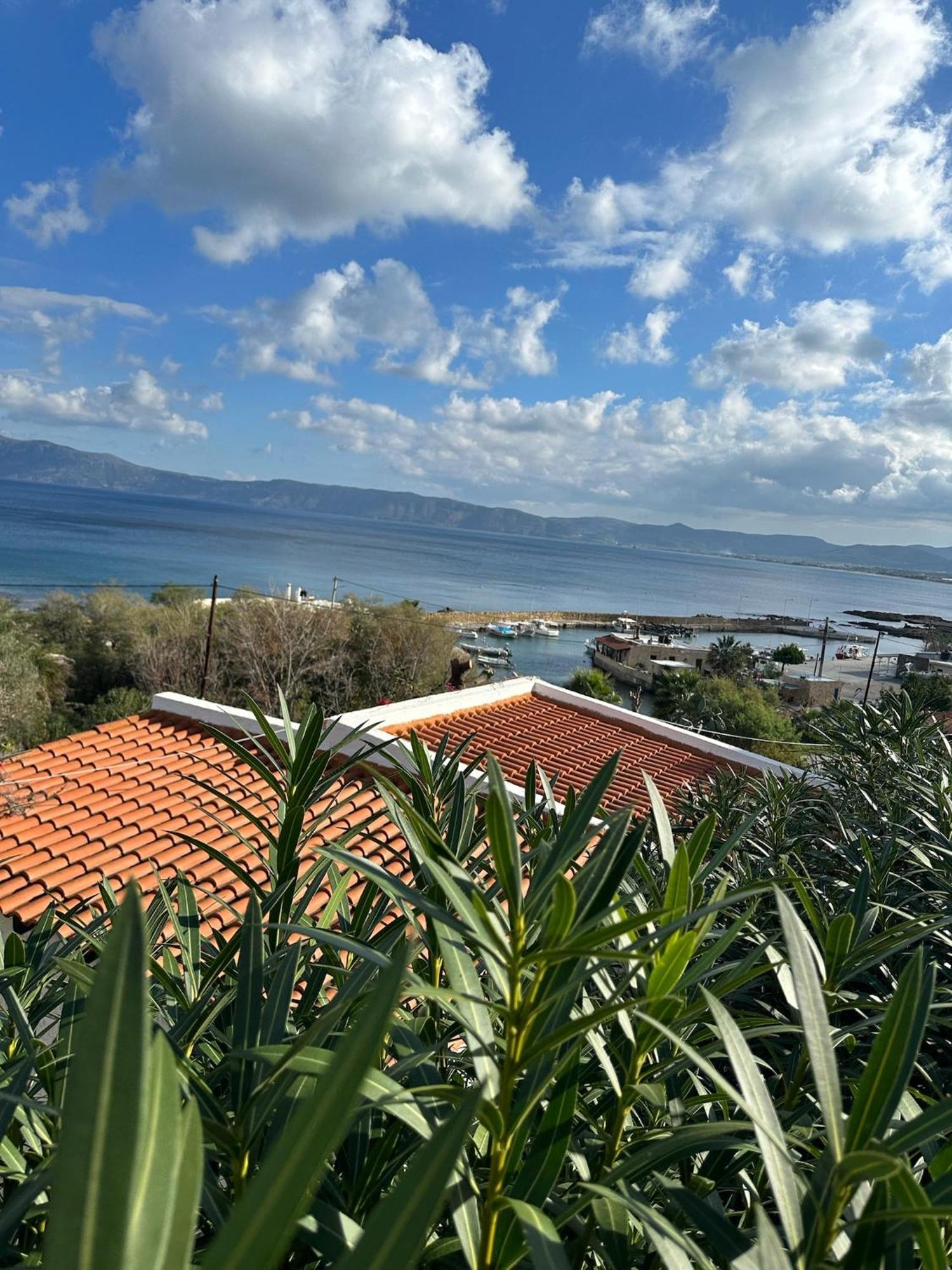Vista Del Mar *