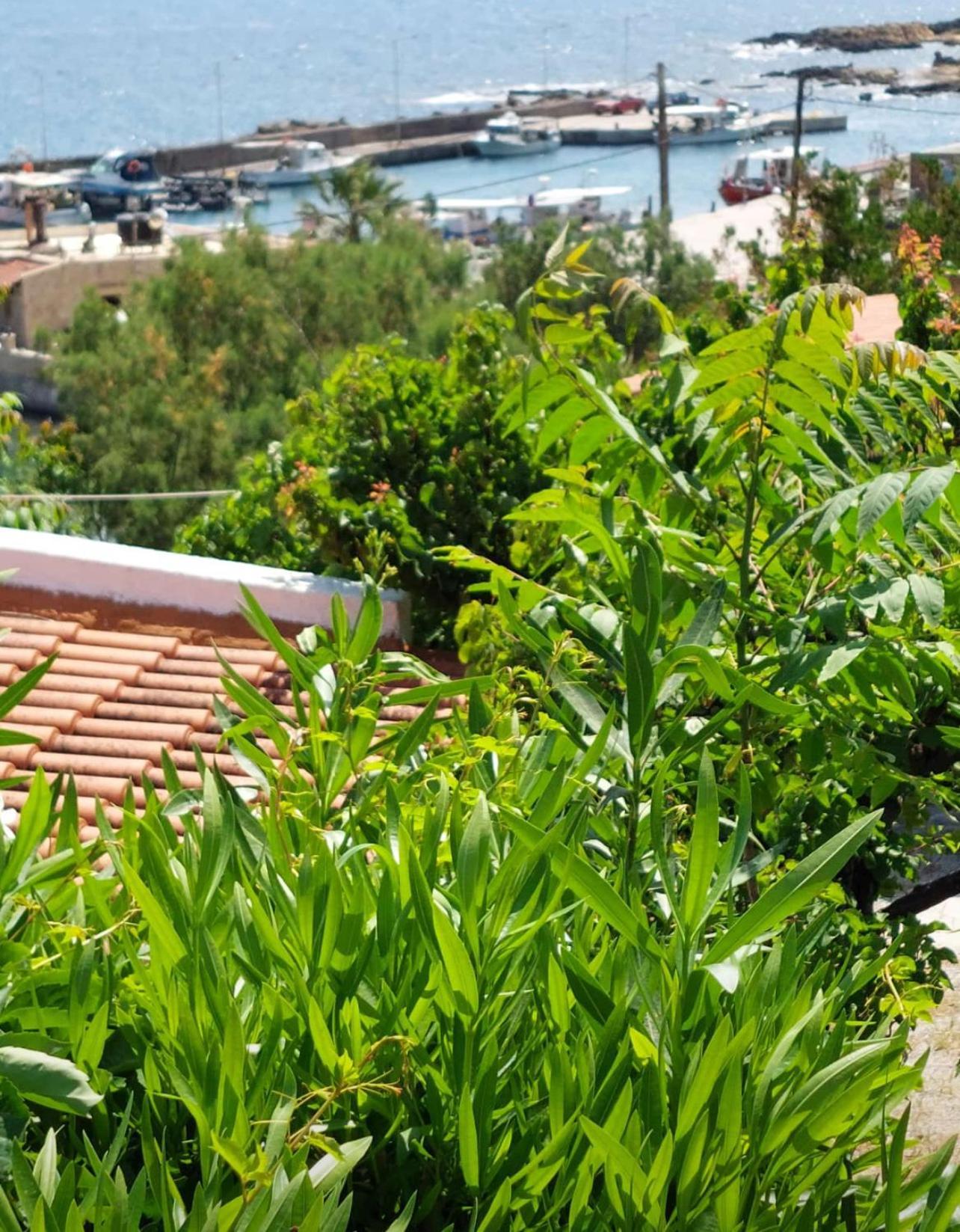 Vista Del Mar Hébergement de vacances Kíssamos