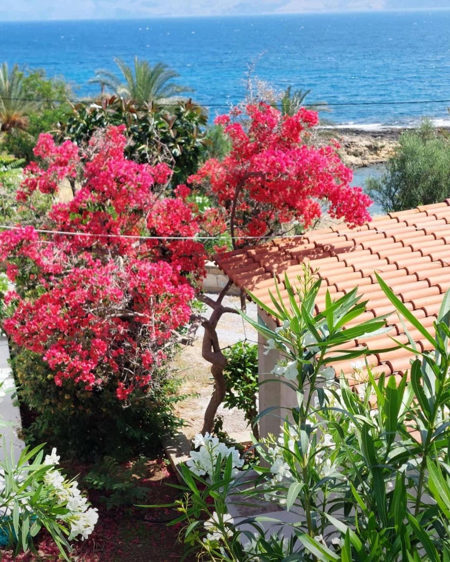 Vista Del Mar *